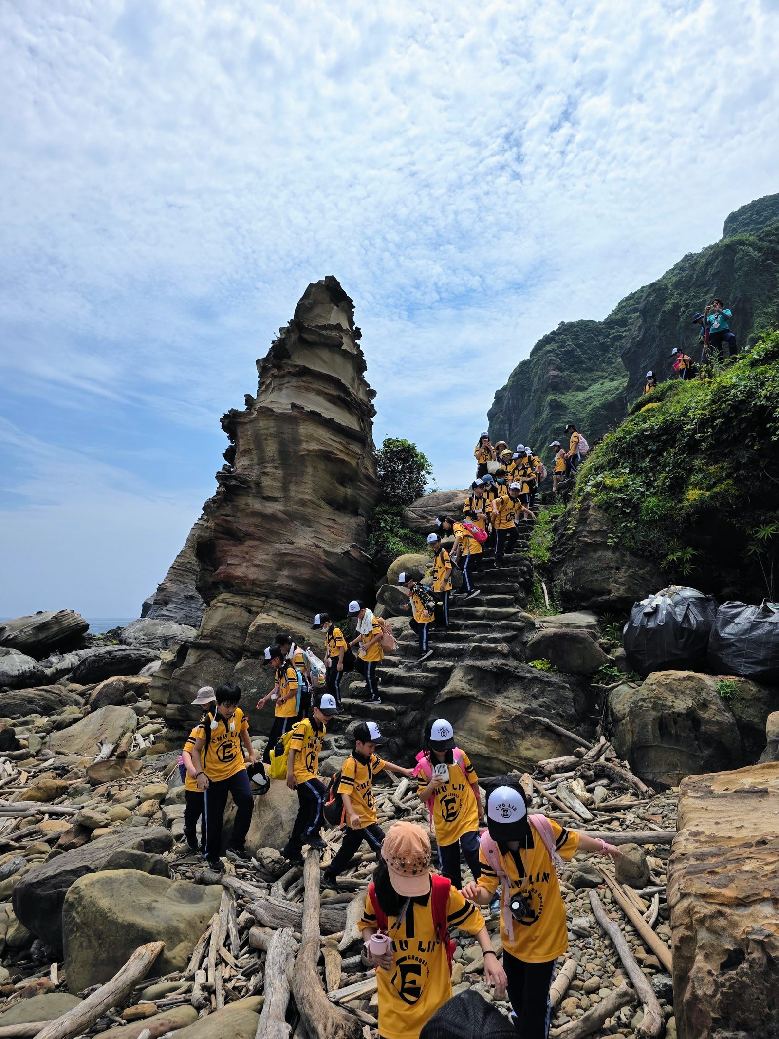 K-12 walking cohort across the years