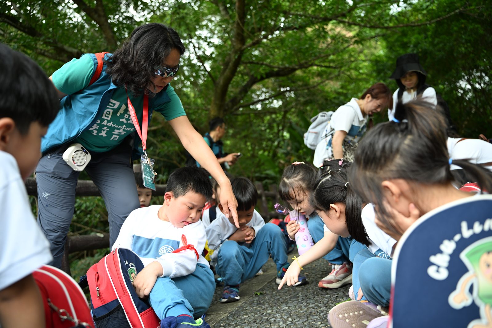 K-12 walking cohort across the years