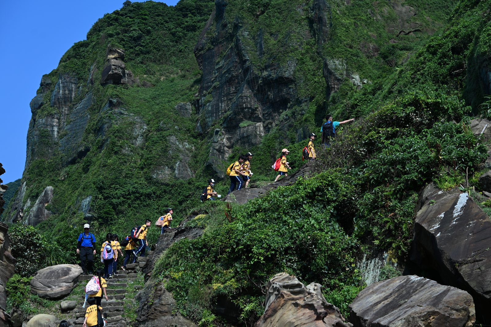 K-12 walking cohort across the years